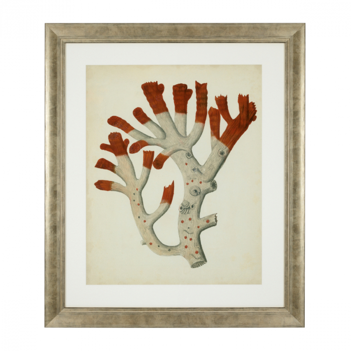 Tablou tipărit, Corali roșii antici set de 6, Dims: W. 57.5 | D. 3 | H. 68 | per frame (CM) [6]