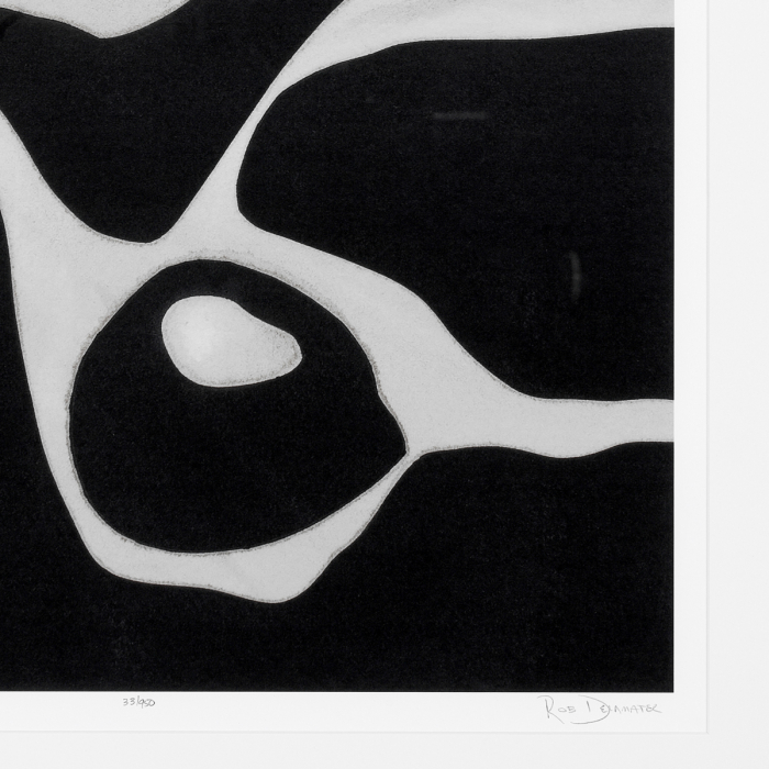 Tablou tipărit, Litho: Tides in Sepia I, Dims: W. 70 | D. 7 | H. 85.5  (CM) [2]