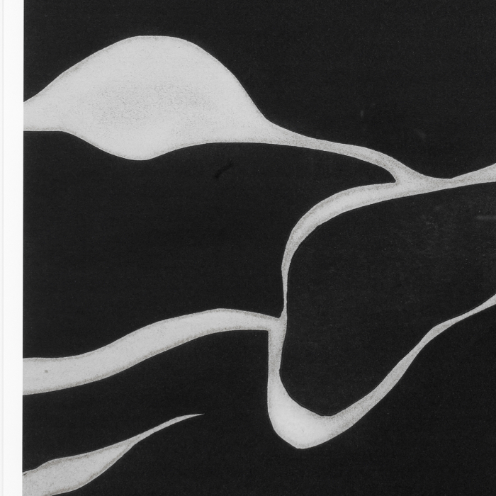 Tablou tipărit, Litho: Tides in Sepia III, Dims: W. 70 | D. 7 | H. 85.5  (CM) [3]