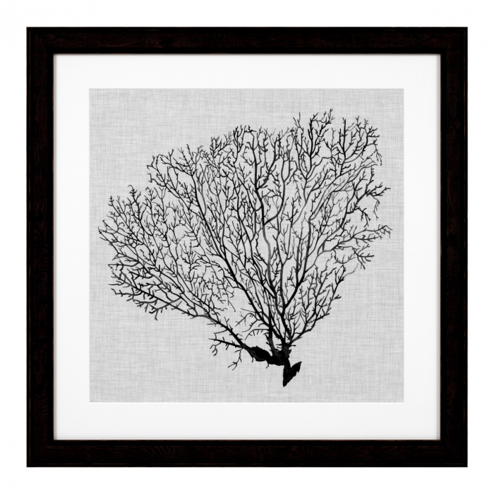 Tablou tipărit, Shadow Sea Fans set de 4, Dims: W. 61.5 | D. 2 | H. 61.5 | per frame (CM) [3]