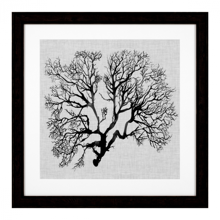 Tablou tipărit, Shadow Sea Fans set de 4, Dims: W. 61.5 | D. 2 | H. 61.5 | per frame (CM) [5]