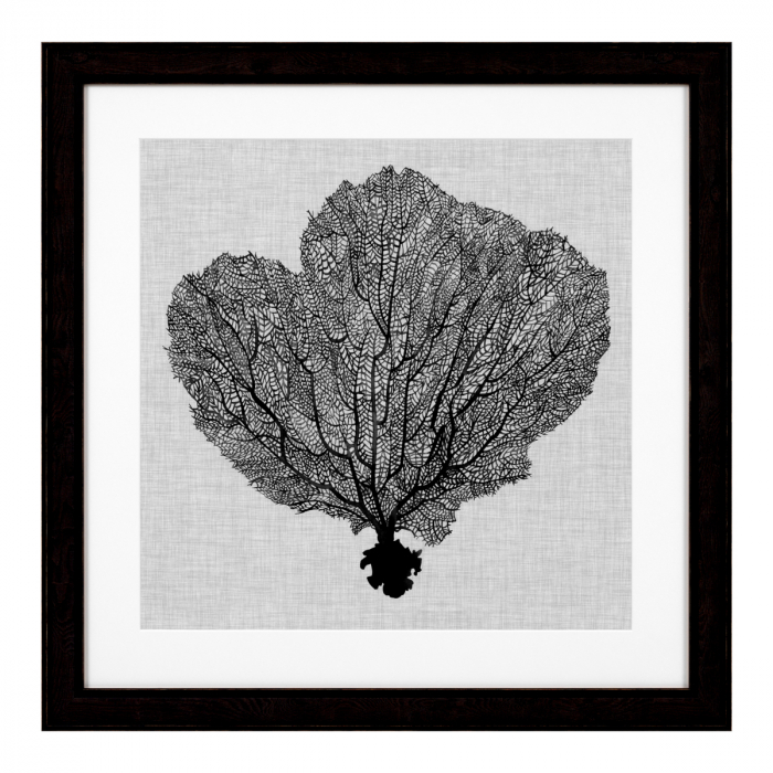Tablou tipărit, Shadow Sea Fans set de 4, Dims: W. 61.5 | D. 2 | H. 61.5 | per frame (CM) [4]