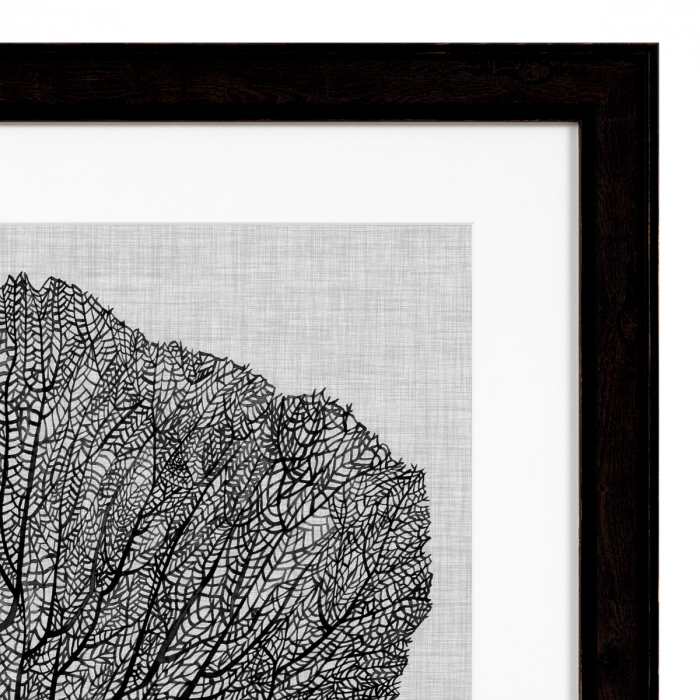 Tablou tipărit, Shadow Sea Fans set de 4, Dims: W. 61.5 | D. 2 | H. 61.5 | per frame (CM) [6]