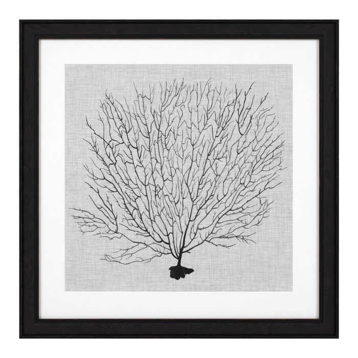 Tablou tipărit, Shadow Sea Fans set de 4, Dims: W. 61.5 | D. 2 | H. 61.5 | per frame (CM) [2]