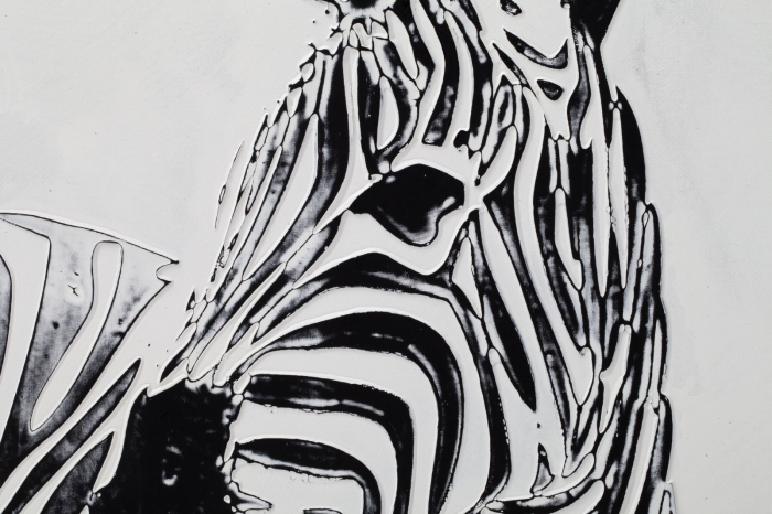 Tablou zebra, lemn/panza, alb/negru, 80X80 cm [3]