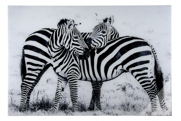 Tablou Zebras, aluminiu acril, alb negru, 120x80x2.5 cm GILDE imagine 2022