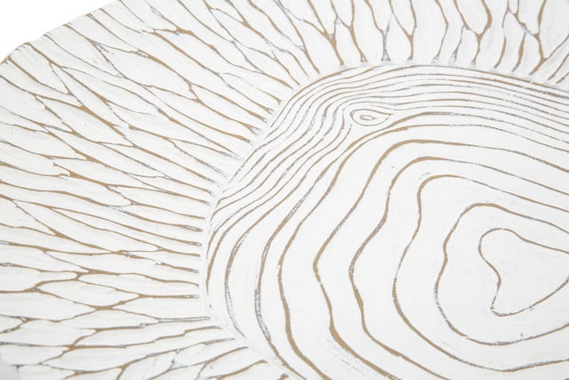 Tava decorativa Tray, Rasina, Alb, 6x37x34 cm [6]