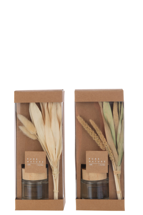 Ulei parfumat, Ass2 [3]