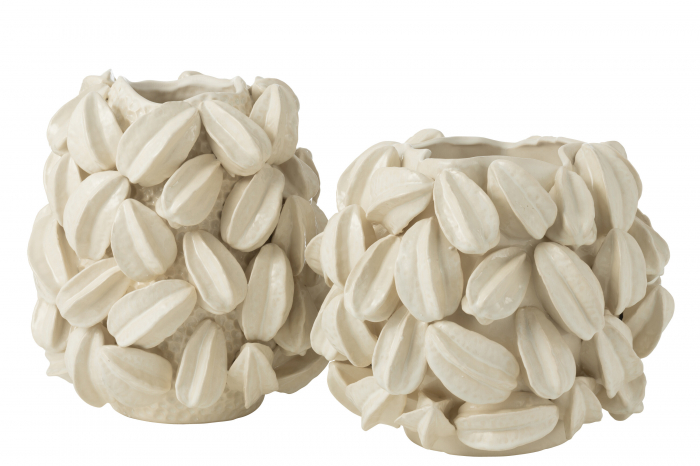 Vază, Botanica Cocoa Pod Wide Clay Bej, L 34| W 33.5| H 31 cm [2]
