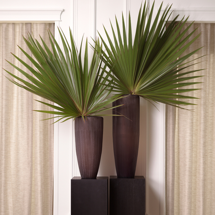 Vaza Isandro L sticla finisaj piatra |Ø 32.5 | H. 70 cm  [2]