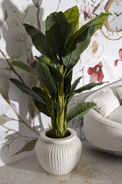 Vaza, Rome cm ø 48x38 [6]