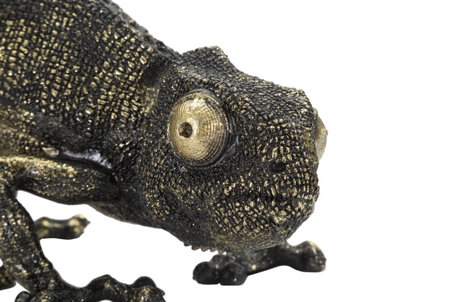 Veioza Lizard, Rasina, Negru/Auriu, 22x37.5x16.5 cm [3]