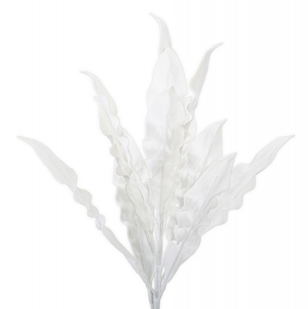 Aloe alb cm ø 30x98  [1]