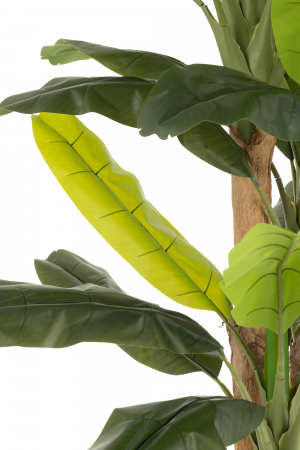 Arbore de banane, verde, artificial, L 120| W 120| H 300 cm [1]