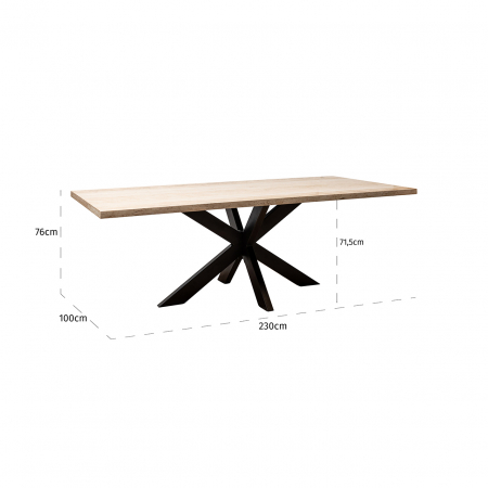 Masa Avalon, Lemn/Metal, Maro/Negru, 76x230x100 cm [4]