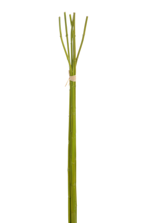 SALE % - Bambus, Plastic, Verde, 110x10x5 cm