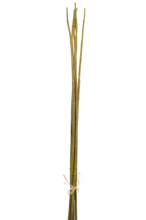 SALE % - Bambus, Plastic, Verde, 4x3.5x110 cm