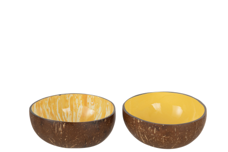 Bol, Jumătate de Cocos Ass2 [1]