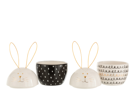 Borcan depozitare, Rabbit Ass2 [1]