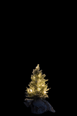 Brad Craciun LED, Plastic , Verde, 18x17.5x29.5 cm [2]