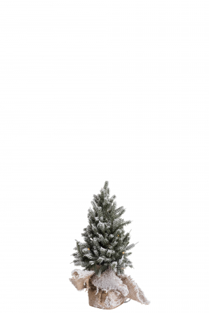Brad Craciun LED, Plastic , Verde, 18x17.5x29.5 cm [1]