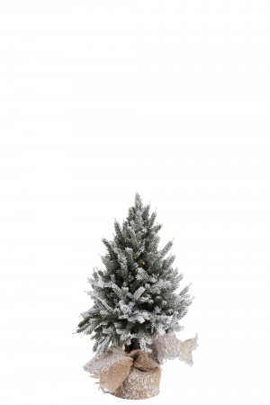 Brad Craciun LED, Plastic, Verde, 20x20x45 cm [1]