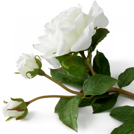 Buchet de trandafiri alb bicolor, real touch, 72 buc/2 soiuri, Dims: Approximately | Ø 60  (CM) [3]