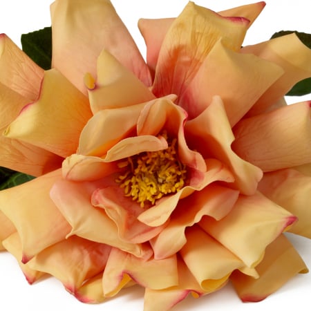 Buchet de trandafiri, real touch, 72 buc/3 soiuri, Dims: Approximately | Ø 60  (CM) [3]