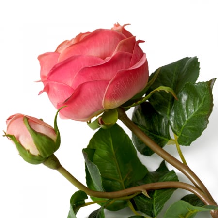 Buchet de trandafiri, real touch, 72 buc/3 soiuri, Dims: Approximately | Ø 60  (CM) [4]