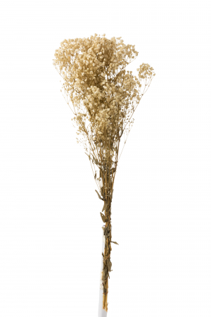 SALE % - Buchet gysophila, Rachita/Bambus, Alb, 10x5x84 cm