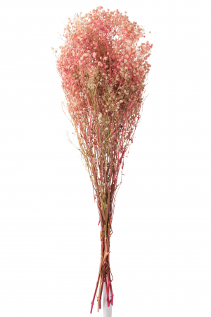 SALE % - Buchet gysophila, Rachita/Bambus, Roz, 10x5x84 cm