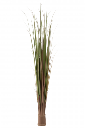 SALE % - Buchet iarba, Plastic, Verde, 15x15x180 cm