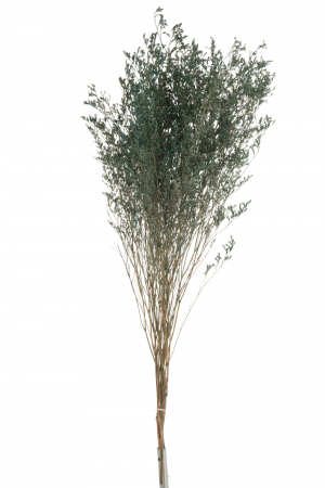 SALE % - Buchet lavanda, Rachita/Bambus, Verde, 20x20x85 cm