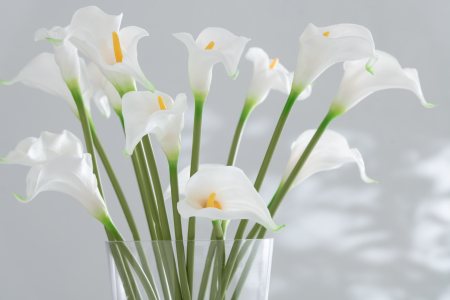 Buchet plante artificiale, Material sintetic, Alb , 20x10.5x37 [2]
