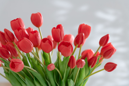 Buchet plante artificiale, Material sintetic, Roz, 12.5x9x31.5 [3]