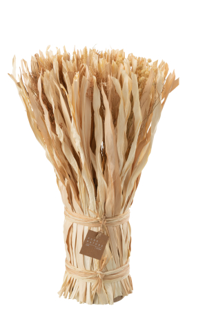 SALE % - Buchet plante uscate, Fibre naturale, Natural, 20x20x40