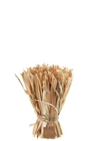 Buchet plante uscate, Fibre naturale, Natural, 23x23x25 [1]