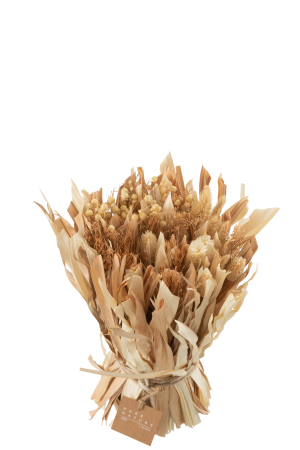 Buchet plante uscate, Fibre naturale, Natural, 23x23x25 [2]