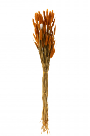 SALE % - Buchet plante uscate, Fibre naturale, Portocaliu, 77x12x3
