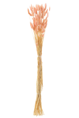 Buchet plante uscate, Fibre naturale, Roz, 82x15x3 [1]