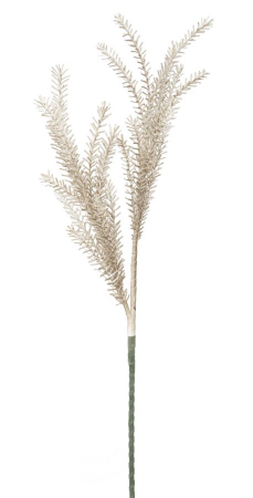 Bulrush maro cm ø 35x93 SALE % - Bulrush maro cm ø 35x93