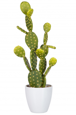 DECORATIUNI - Cactus artificial, Plastic, Alb, 16x16x57 cm