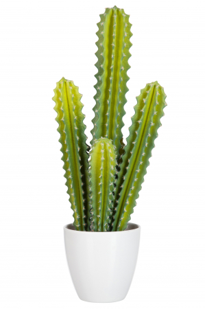 DECORATIUNI - Cactus artificial, Plastic, Alb, 19.75x15x50 cm