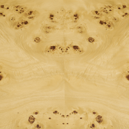 Consolă Raphael, mappa furnir burl, Dimensiuni: W. 130 | D. 41 | H. 75   [8]