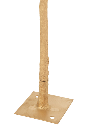 Copac Deco, Feathers S [1]