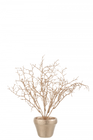 SALE % - Copacel in ghiveci, Plastic , Auriu, 27x27x33.5 cm