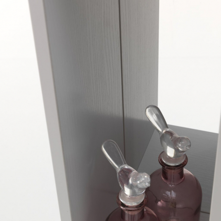 Corp suspendat cu oglinda BELSK, Melamina/Sticla, Gri, 32x18x160 cm [3]