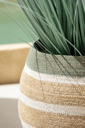 Cos depozitare, STRIP SEAGRASS, SET3 [3]