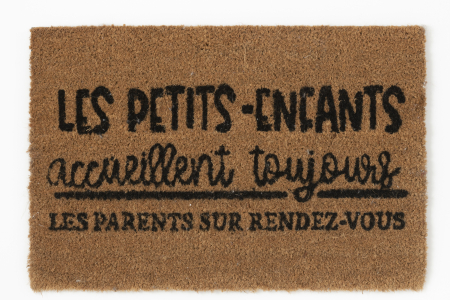 Covoare - Covoras intrare, Material sintetic, Natural, 60x40x2