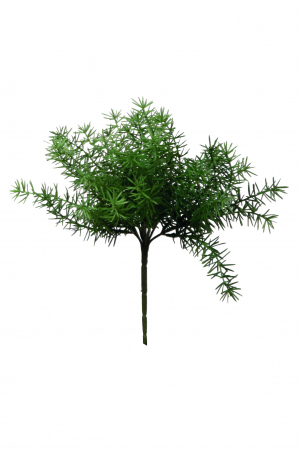 SALE % - Crenguta artificiala ASPARAGUS, Fibre sintetice, Verde, 26 cm